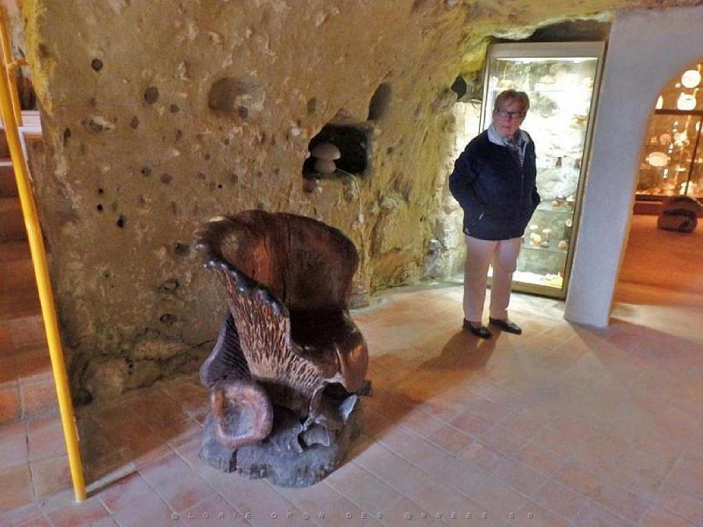 149 MUSEE DU CHAMPIGNON A  SAUMUR 2016 1_000010.jpg